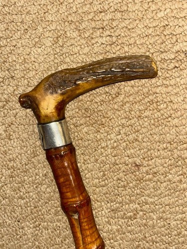 Antiker whangee bambus - bambus, semi
